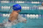 Women's Swimming & Diving  Wheaton College Women’s Swimming & Diving vs Mount Holyoke College. - Photo by Keith Nordstrom : Wheaton, Swimming & Diving